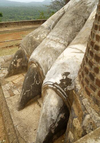 sigiriya lion's foot